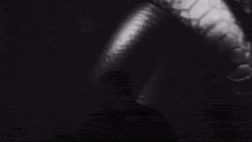 America First Af GIF
