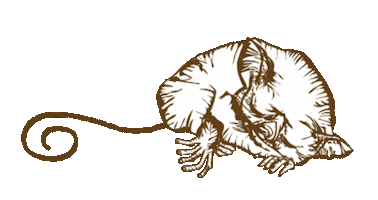 Sticker by Stickyricetravel