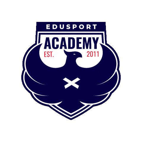 edusport academy Sticker