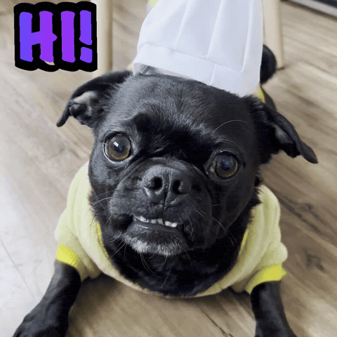 Dog Hello GIF