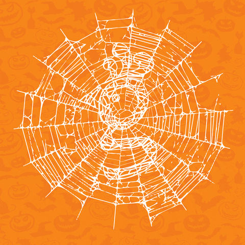 Spider Web Little G GIF by Huey Magoo's