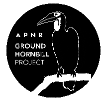 Southern Ground Hornbill Bird Sticker by Mabula Ground Hornbill Project