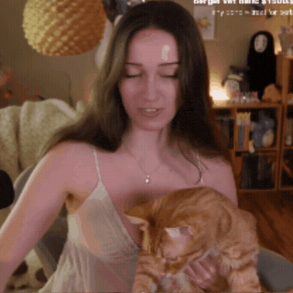 Cute Cat GIF