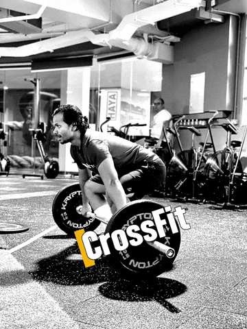 HAYA CrossFit GIF