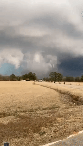State of Emergency Declared in Alabama After Deadly Storms Cause Widespread  Damage - GIPHY Clips