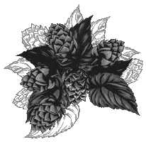 Beer Cheers Sticker by Ôh Barba Cervejas