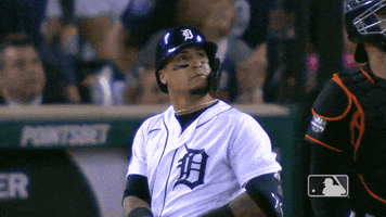 Major League Baseball Reaction GIF by Detroit Tigers