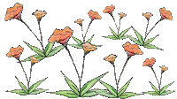 200w.gif?cid=ecf05e476a7af211f76ab6ce2dd