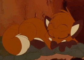 Fox Sleeping GIF