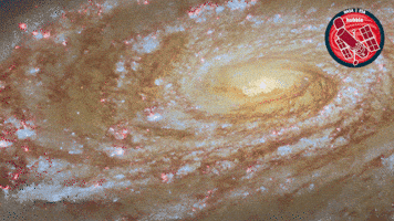 Stars Glow GIF by ESA/Hubble Space Telescope