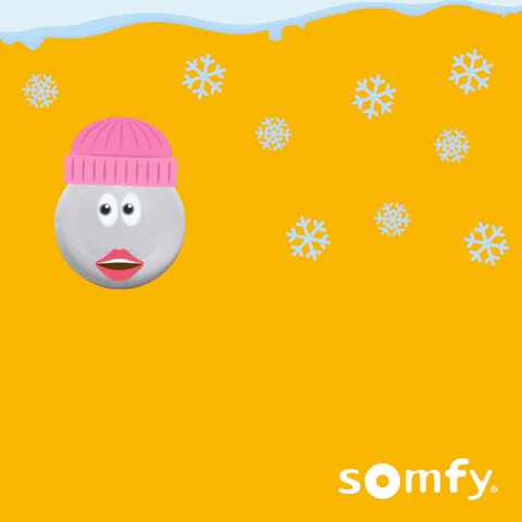 Snow Winter GIF by Somfy