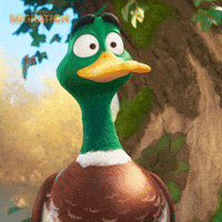 200.gif