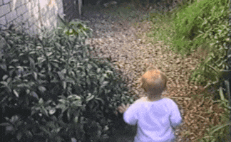 Cat Gif Off The Bump Cat Gif Off The Bump