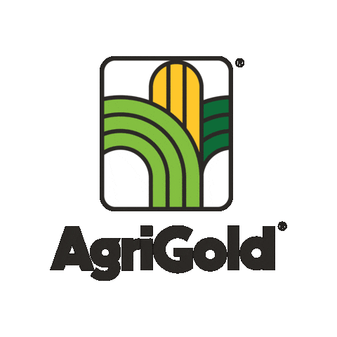 Agriculture Corn Sticker by AgriGold