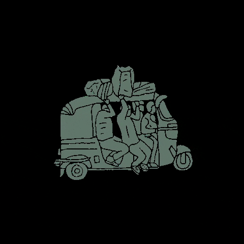 SALKAN GIF