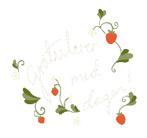 Bursdag 17Mai Sticker