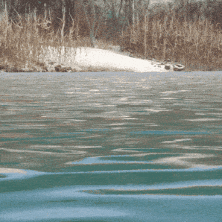 theHunter: Call of the Wild (Official) GIF