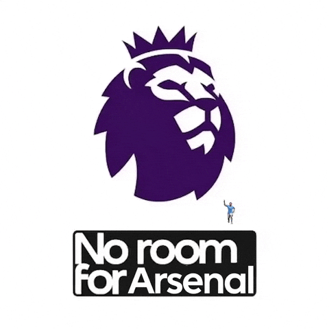 Premier League Arsenal GIF