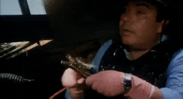 Zoo Di 105 Linobanfi GIF by JonnyMele