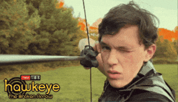 Robin Hood Arrow GIF