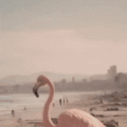 Clubhouse GIF by Gallery.fm