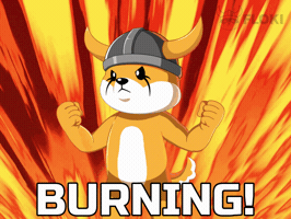 Crypto Burn GIF by FLOKI