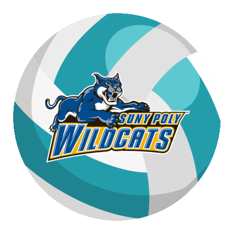 Volleyball Wildcats Sticker by SUNY Polytechnic Institute