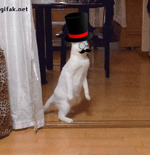 Video gif. White cat confidently struts into the room on its hind legs. It's further personified with video stickers of a top hat, monocle, and twirling mustache that give it the style of a sophisticated gentleman.