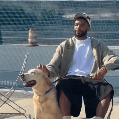 New York Knicks Dog GIF