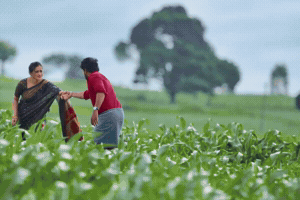 Shri Ram Kannada GIF