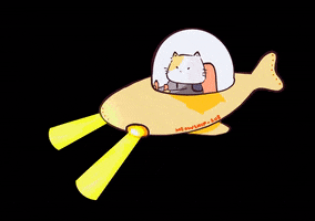 Cat GIF