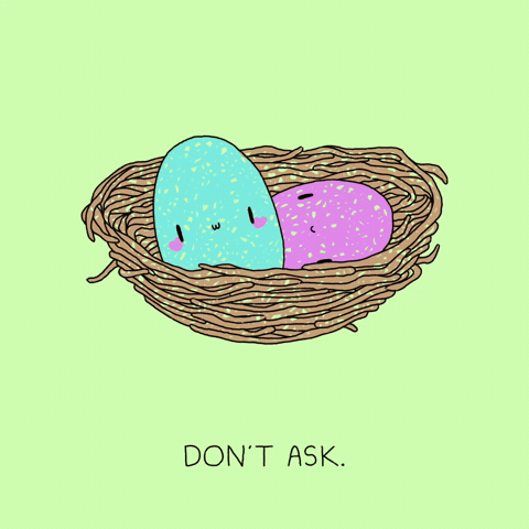 Chocolate No GIF