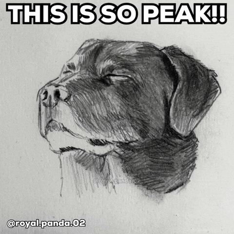 Happy Anthony Mackie GIF