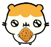 Hamster Morocco Sticker