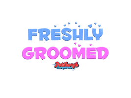 Petsburgh Sticker