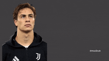 Futbol Juventus GIF