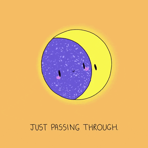 Passing Excuse Me GIF
