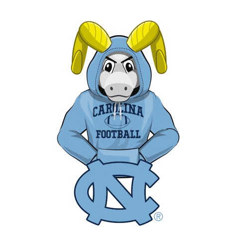 Lets Go Football GIF by Wells Fargo