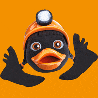 Happy Duck GIF by Salzwelten