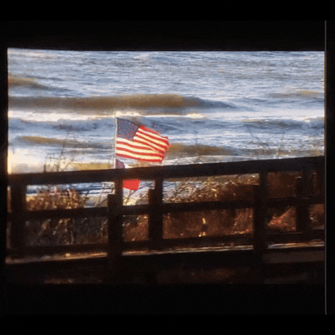 Film GIF