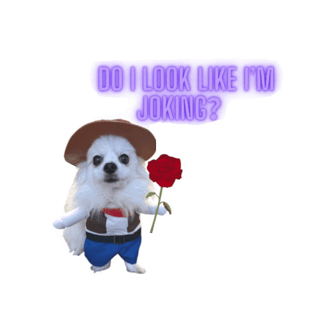 Not Joking I Love You Sticker by Romeo Mama Online Store
