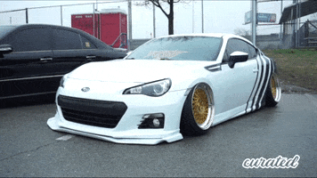 Photography Club GIF by Curated Stance Club!