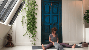 Yoga Point Den Bosch GIF