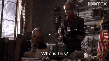 Who Is That The West Wing GIF by HBO Max