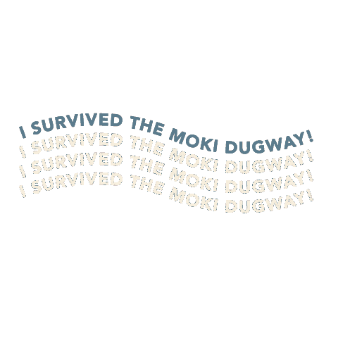 Utah Roads Sticker by Utah'sCanyonCountry