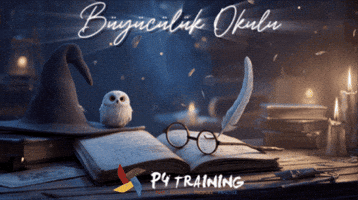 P4 Training GIF