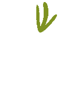 Arrow Sticker by Relyef pottery tools