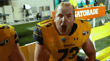 Screaming Golden Bears GIF by Cal Athletics