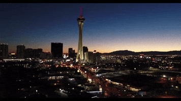 Las Vegas GIF by cityoflasvegas