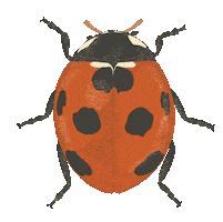 Animal Sticker